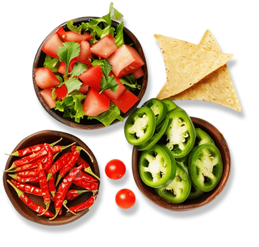 Bowls of salsa, guacamole and fresh Tex-Mex ingredients